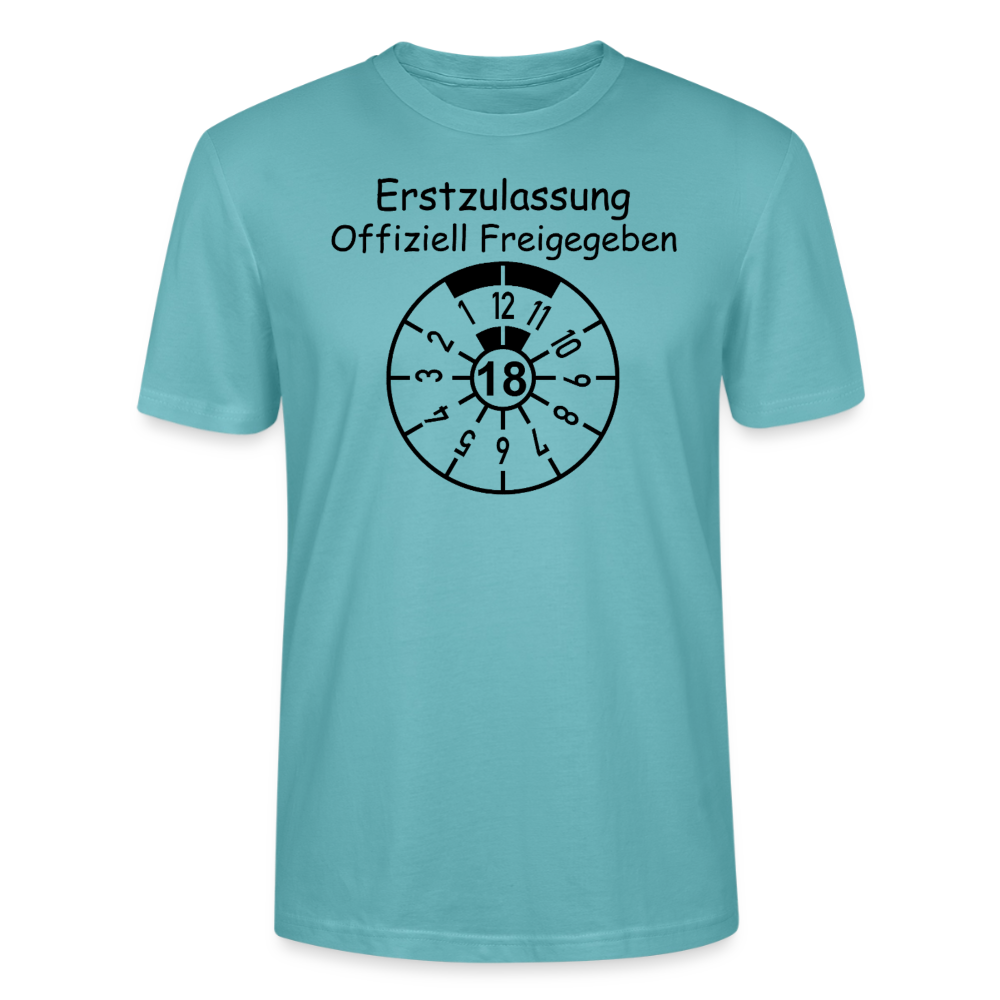 18. Geburtstag Erstzulassung offiziell freigegeben - Pastelltürkis